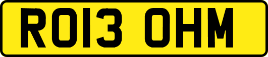 RO13OHM