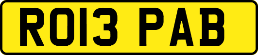 RO13PAB