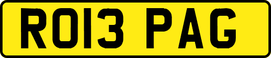 RO13PAG