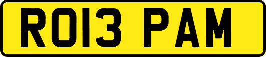 RO13PAM