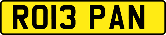 RO13PAN