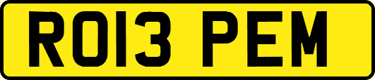 RO13PEM
