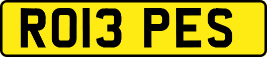 RO13PES