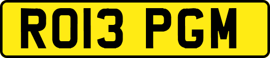 RO13PGM