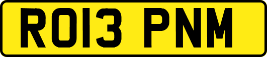 RO13PNM