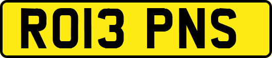 RO13PNS