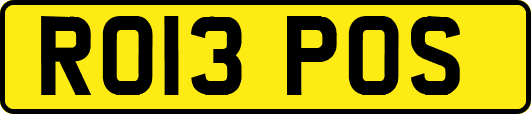 RO13POS