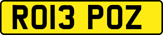 RO13POZ
