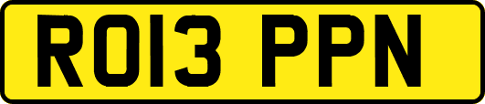 RO13PPN
