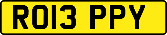RO13PPY