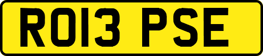 RO13PSE