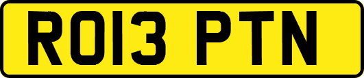 RO13PTN