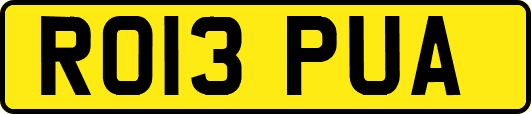 RO13PUA