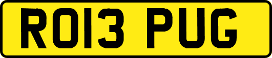 RO13PUG