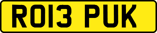 RO13PUK