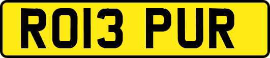 RO13PUR