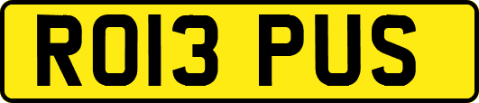 RO13PUS