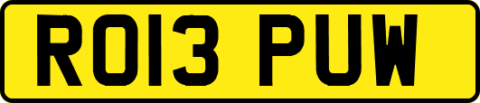 RO13PUW