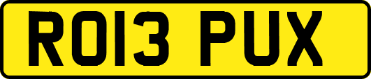 RO13PUX