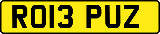 RO13PUZ