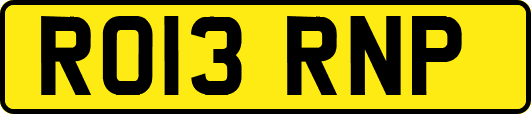RO13RNP