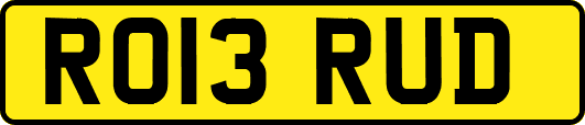 RO13RUD