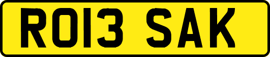 RO13SAK