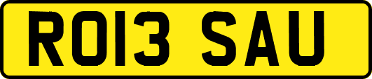 RO13SAU