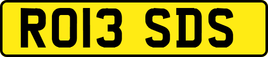 RO13SDS