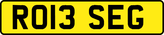 RO13SEG