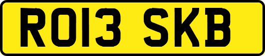 RO13SKB