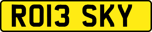 RO13SKY