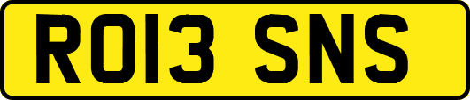 RO13SNS
