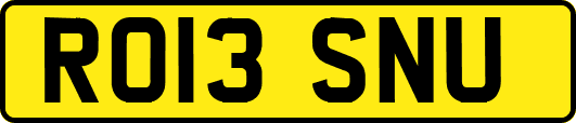 RO13SNU