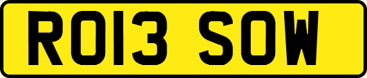 RO13SOW