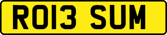 RO13SUM