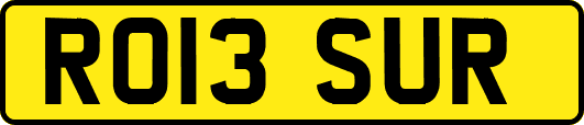RO13SUR