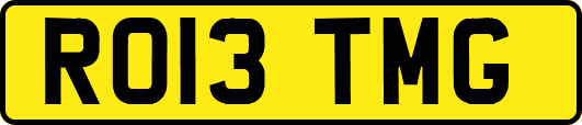 RO13TMG