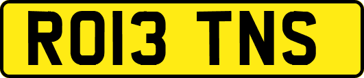 RO13TNS