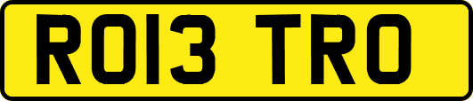 RO13TRO