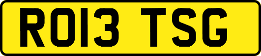 RO13TSG