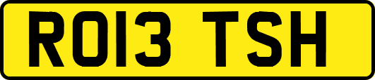 RO13TSH