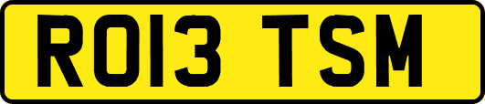 RO13TSM
