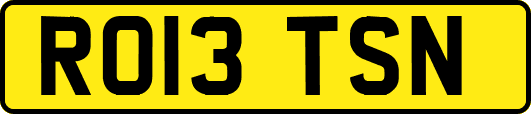 RO13TSN