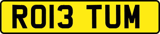 RO13TUM