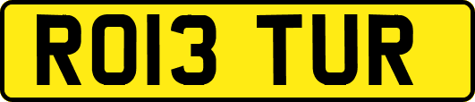 RO13TUR