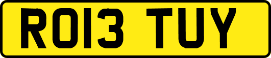 RO13TUY
