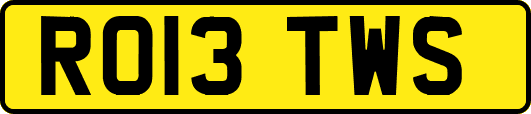 RO13TWS