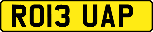 RO13UAP