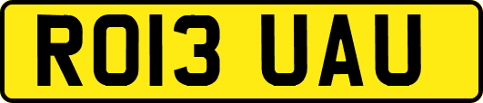 RO13UAU